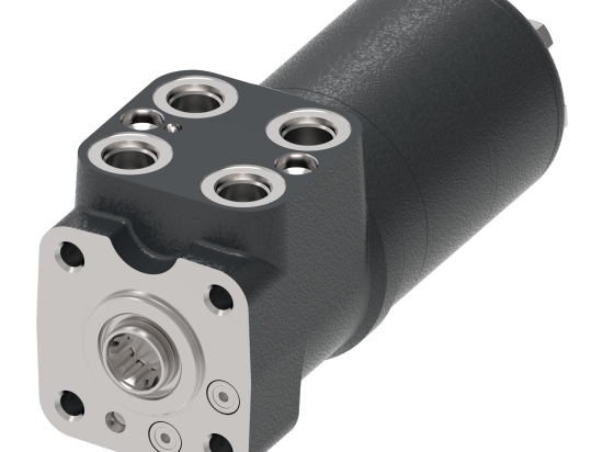 CLAPET ANTI RETOUR RS 19-0.5-G 3/4 BSP